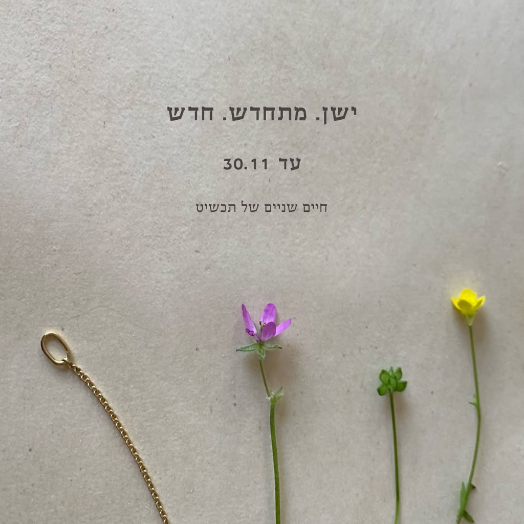 פגישת סטיילינג אישית
