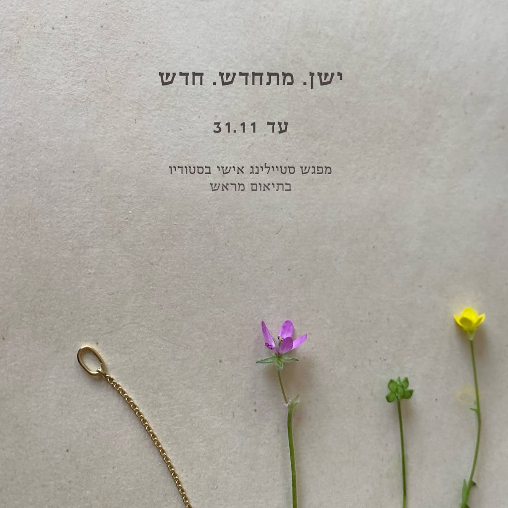 פגישת סטיילינג אישית