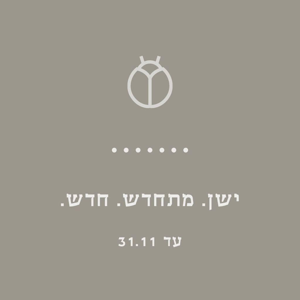 פגישת סטיילינג אישית