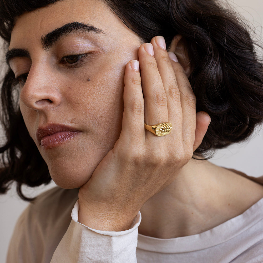 טבעת חותם חיטה