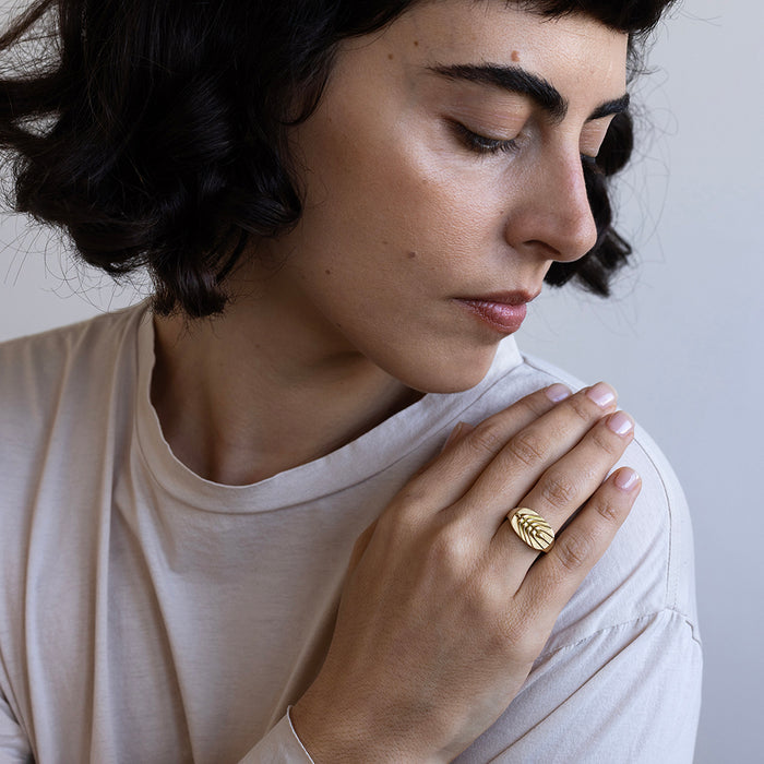 טבעת חותם חיטה