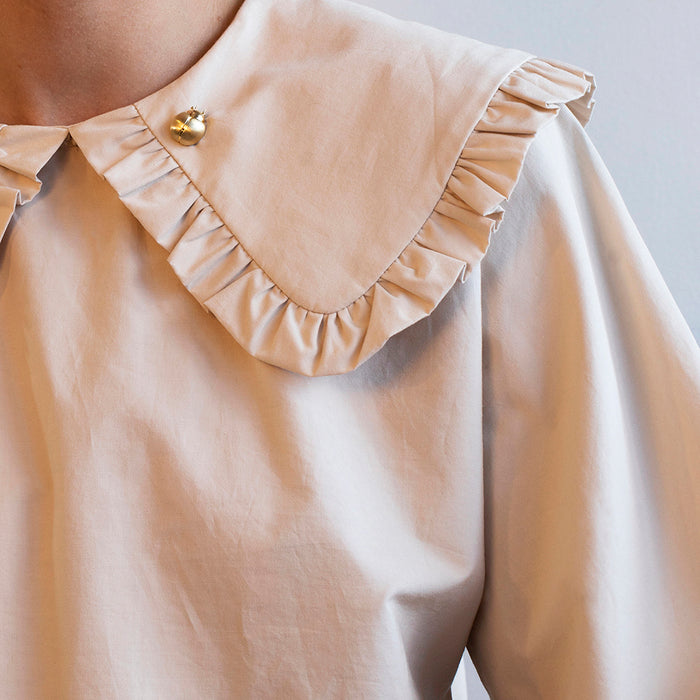 סיכת חיפושית