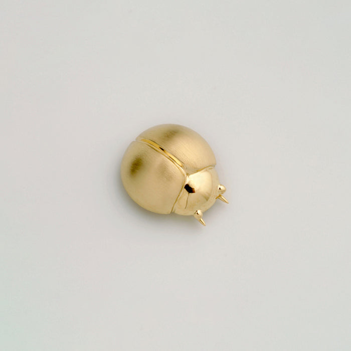 סיכת חיפושית